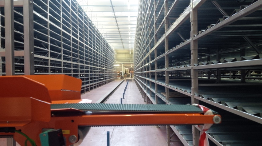 automazione e movimentazione