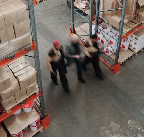 Ispezione Logima